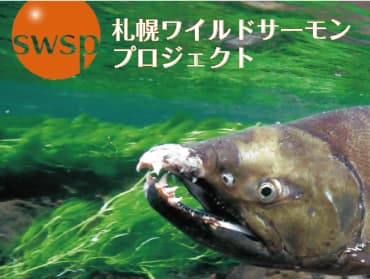 札幌ワイルドサーモンプロジェクト